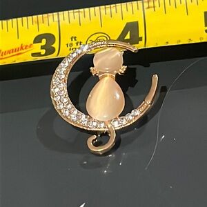 Cat on the moon brooch